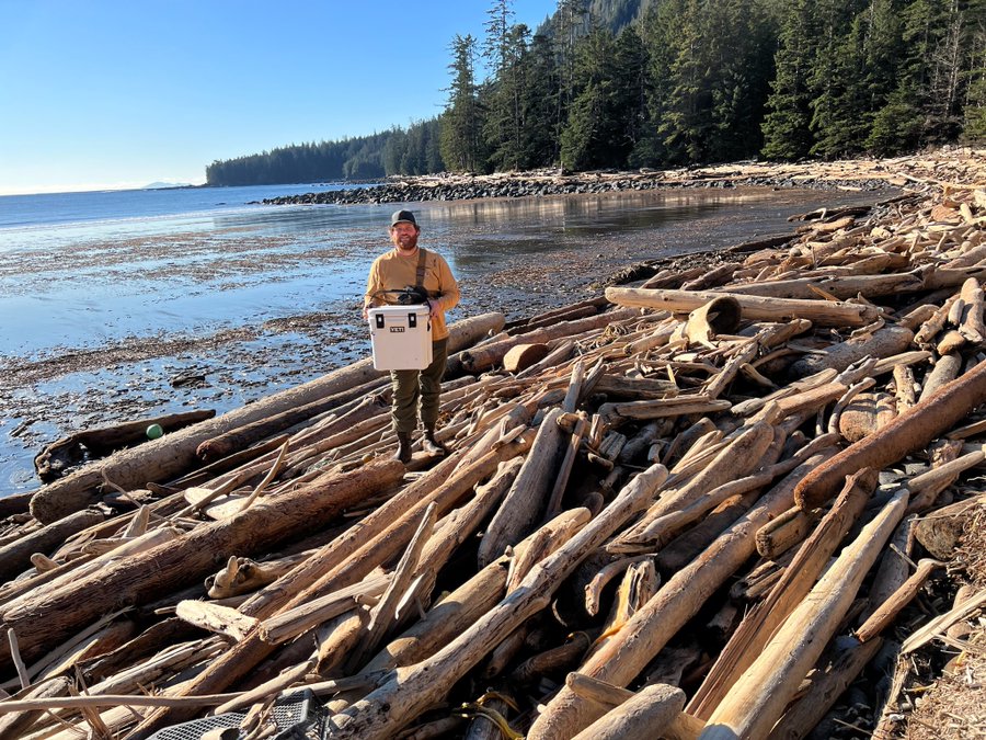 caption: Steven Peavey finds a Yeti cooler on Alaska’s Suemez Island in April, kicking off a “fun frenzy” of cooler hunting in Southeast Alaska. 
