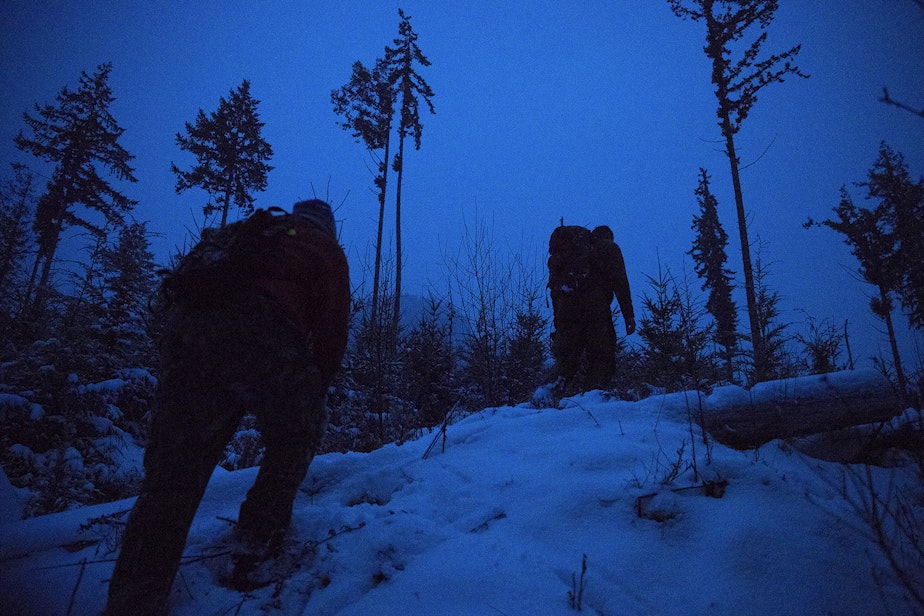 caption: Houndsman Greg Jones, left, and Chris Morgan, right, hike through the snow at dusk after an attempted cougar capture mission conducted by researchers of Bramble, a roughly 3-year-old female cougar, on Tuesday, January 14, 2020, on the Olympic Peninsula. 