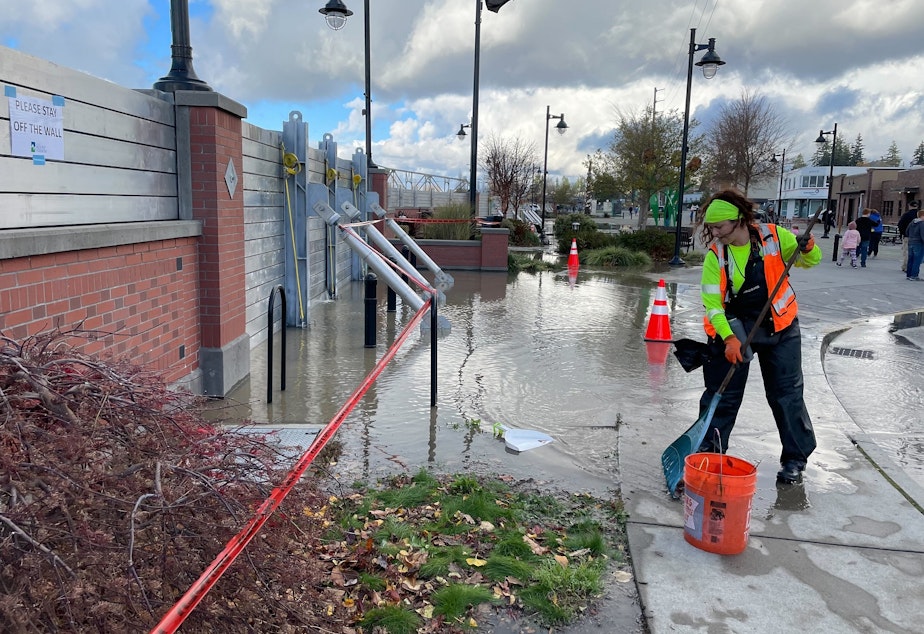 caption: Genevieve Korvin rakes down at the Skagit River to help prevent flooding in the sewer systems. She grew up getting hall passes to sandbag the river.