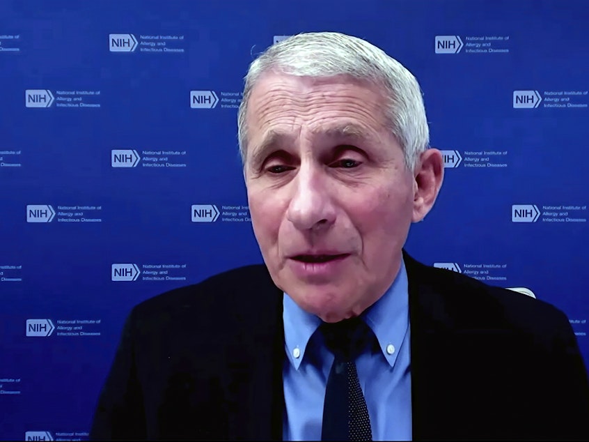 caption: Dr. Anthony Fauci, director of the National Institute of Allergy and Infectious Diseases and chief medical adviser to the president, speaks earlier this week during a White House briefing on the COVID-19 pandemic.