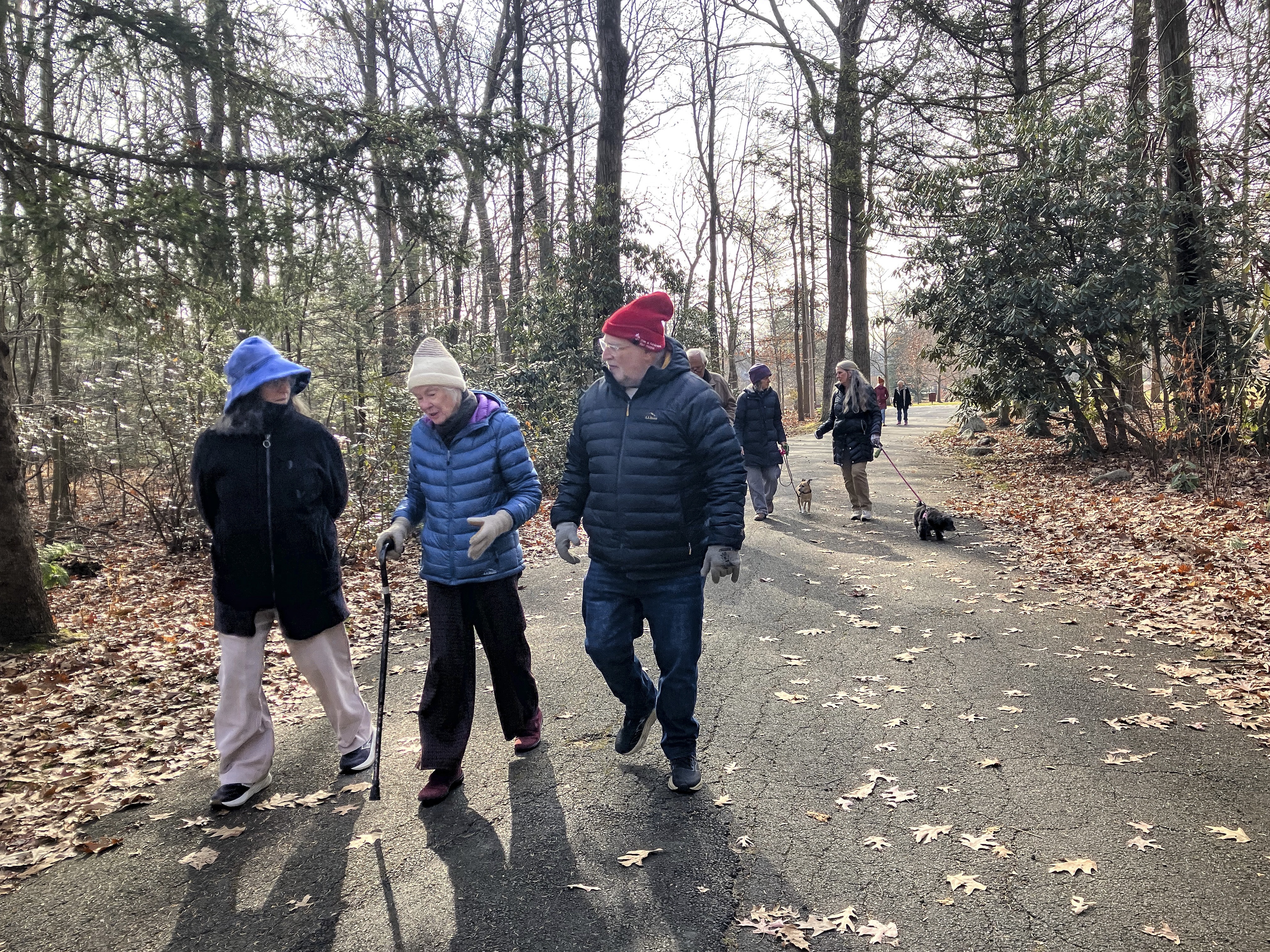 caption: Maureen Cahillane, center, walks with her bereavement group on November 21 in Northampton, Mass.