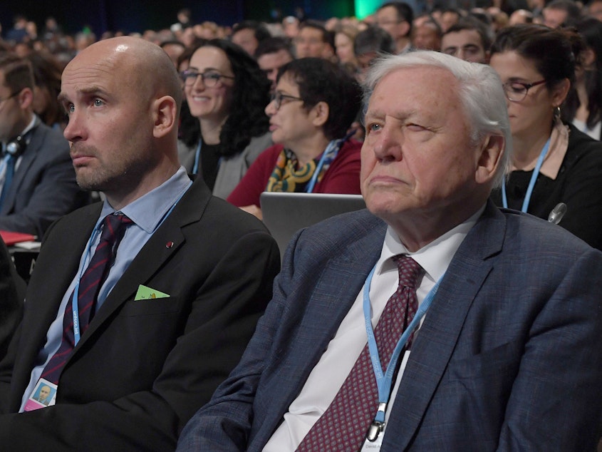 caption: Natural historian David Attenborough listens to speeches during the COP24 summit on climate change in Katowice, Poland, on Monday.