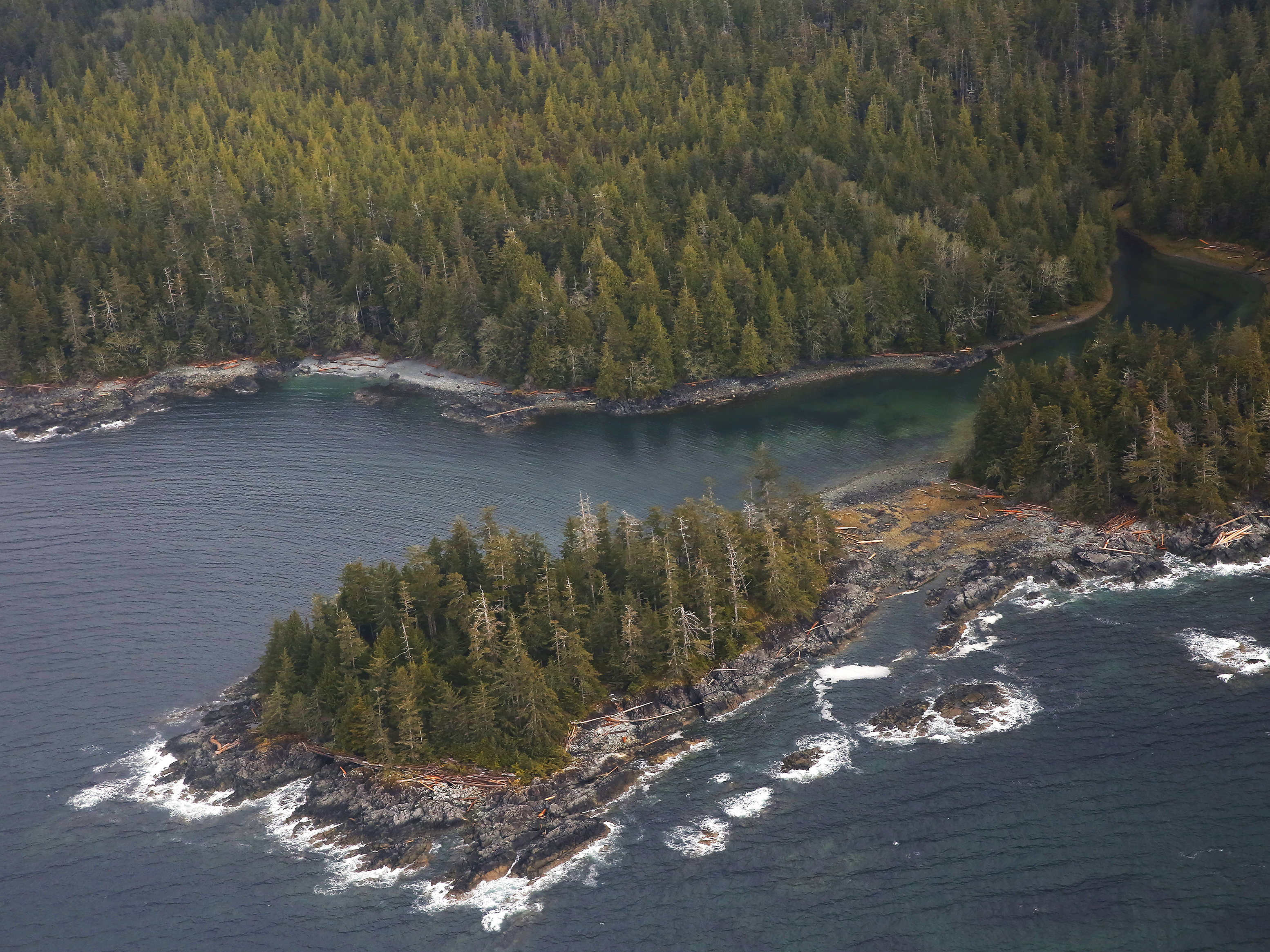 caption: The Tongass National Forest, near Ketchikan, Alaska. The Trump Administration is set to remove long-standing protections against logging and development in the forest.