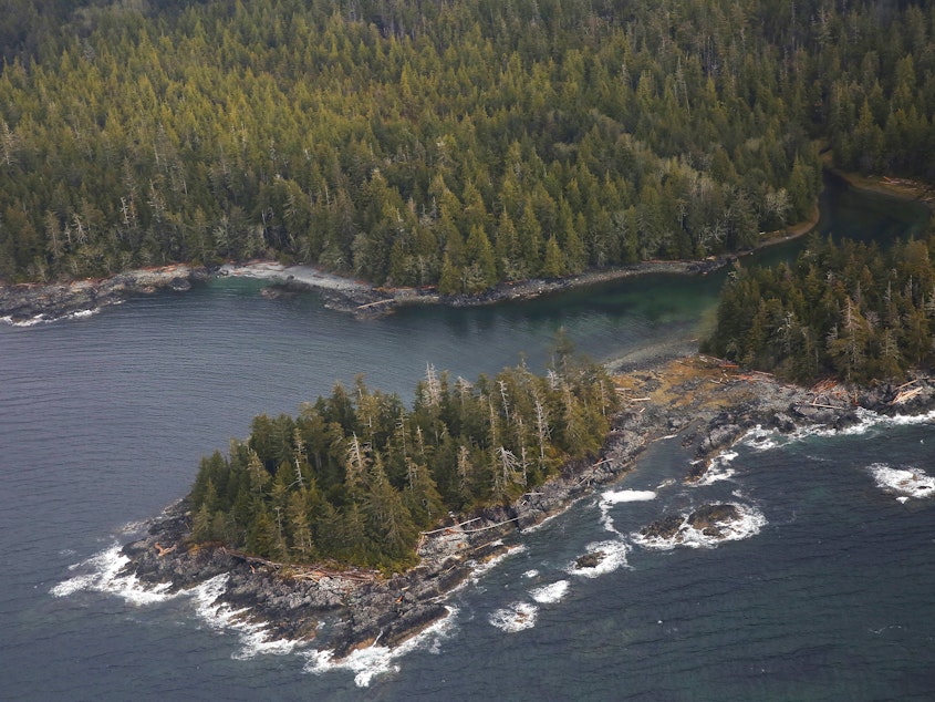 caption: The Tongass National Forest, near Ketchikan, Alaska. The Trump Administration is set to remove long-standing protections against logging and development in the forest.