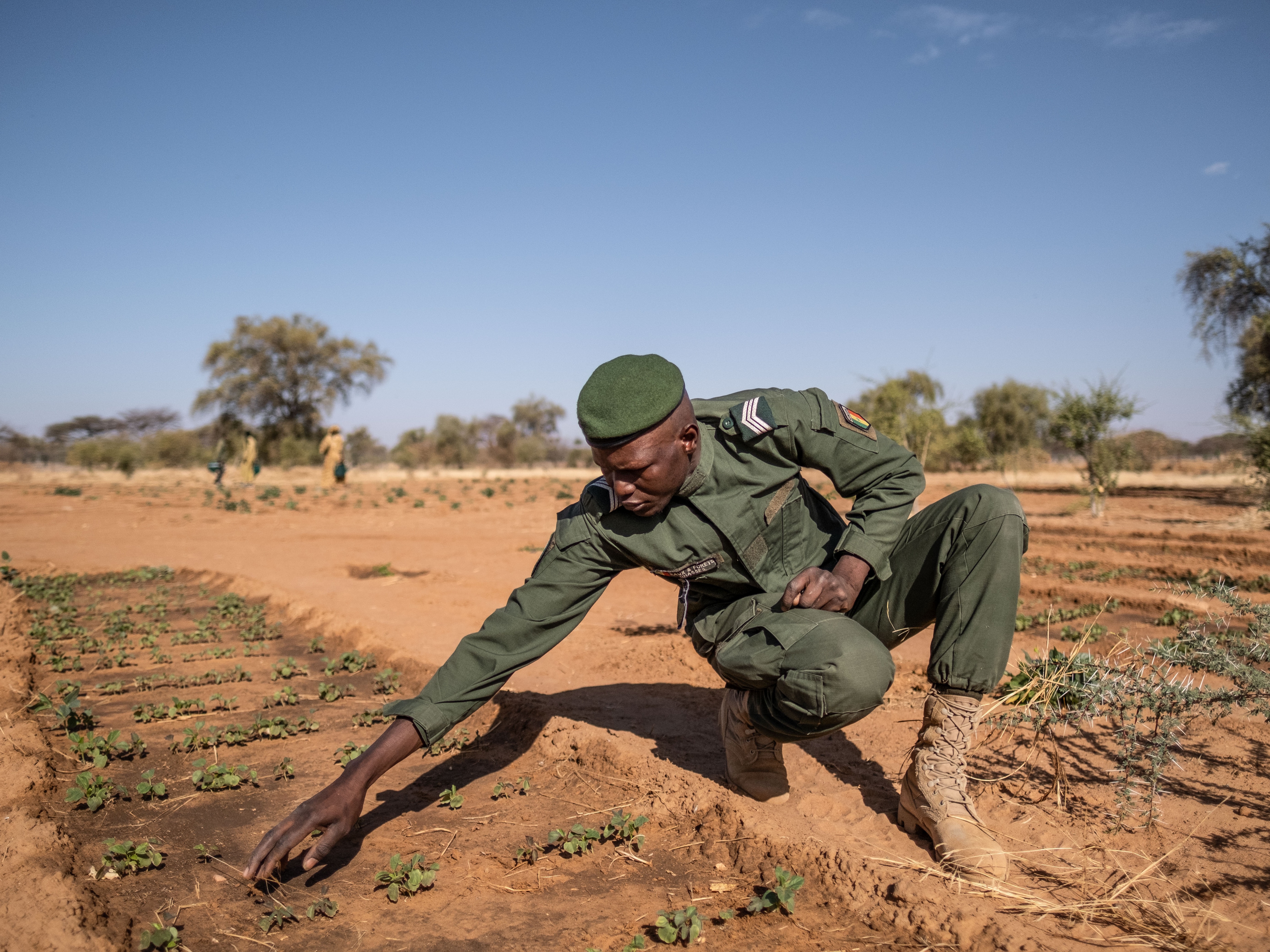 KUOW - The Great Green Wall's one of the world's most ambitious