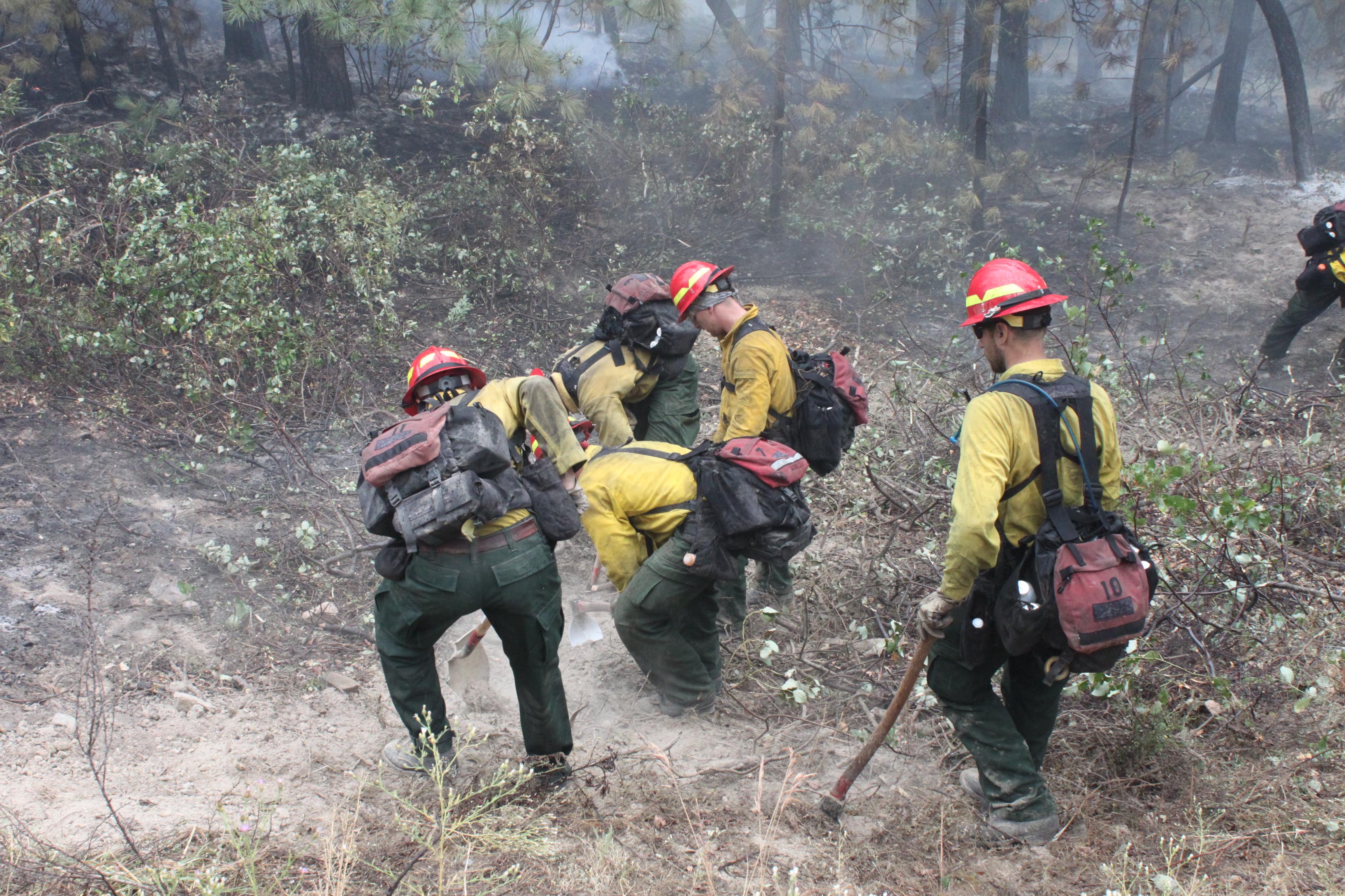 caption: Fire camps could be hazardous places for firefighters this year with COVID-19, while managers are planning hard to make them as safe as possible. But even in a normal year, firefighters say they try to avoid the "camp crud."