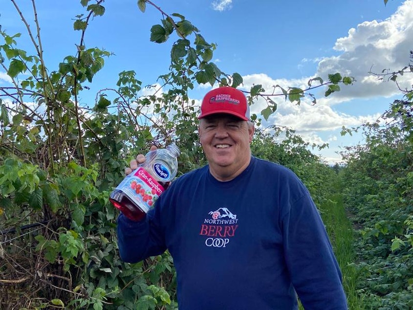 caption: Rolf Haugen, a raspberry grower in Lynden, Washington, decided to get into the spirit of the viral TikTok video and take a picture with a jug of juice in his berry fields.