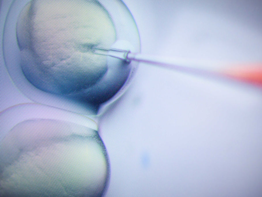 caption: CRISPR technology already allows scientists to make very precise modifications to DNA, and it could revolutionize how doctors prevent and treat many diseases. But using it to create gene-edited babies is still widely considered unethical.