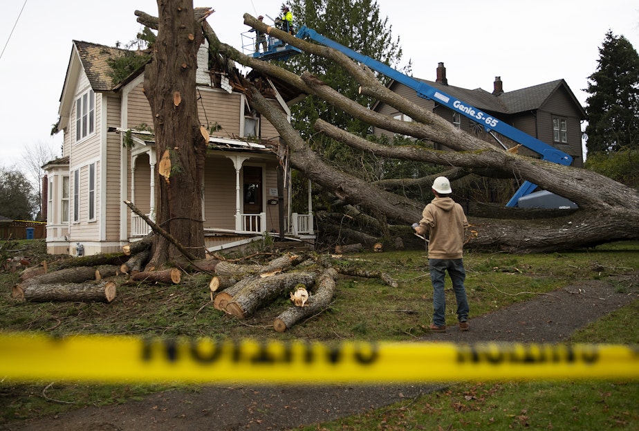 caption: Crews work to remove a large tree that has fallen on a home following heavy winds sent by a ‘bomb cyclone’ in the Pacific Ocean, on Thursday, November 21, 2024, in Snohomish.
