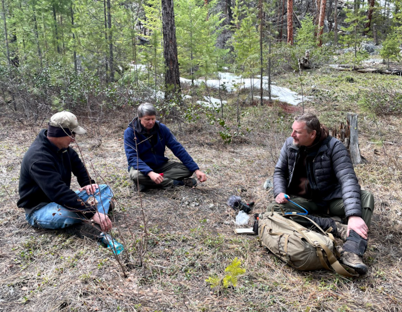 caption: Sitting near a rattlesnake den in the North Cascades of Washington state. Wildlife biologists John Rohrer (left) and Scott Fitkin (center).