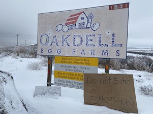 caption: Agriculture officials are quarantining flocks at Oakdell Farms in snowy north Franklin County, Washington, because the flock has come down with highly pathogenic avian influenza H5N1. 