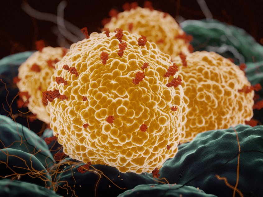 caption: Researchers at the University of Texas Medical Branch are helping to test the Pfizer-BioNTech COVID-19 vaccine against coronavirus variants.