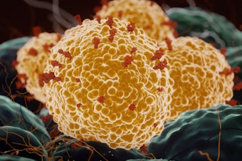 caption: Researchers at the University of Texas Medical Branch are helping to test the Pfizer-BioNTech COVID-19 vaccine against coronavirus variants.