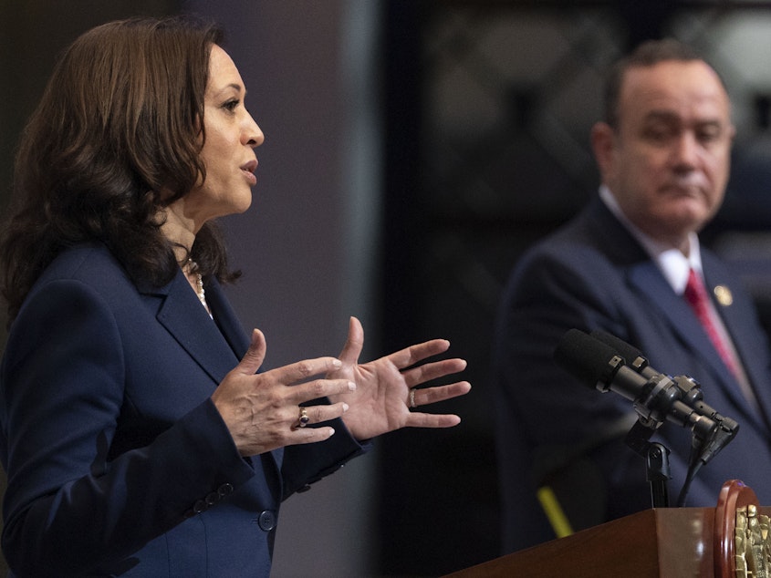 caption: Vice President Kamala Harris had what she called "robust" talks with Guatemalan President Alejandro Giammattei.