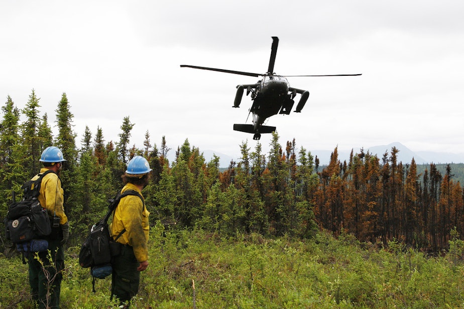 caption: Members with the U.S. Forest Service's Lassen Interagency Hotshot crew stationed at Susanville, Calif., observe an Alaska Army National Guard UH-60 Black Hawk helicopter approach a landing zone June 30, 2013, over Palmer, Alaska. 