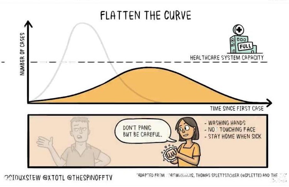 caption: In the best case scenario, we are able to flatten the curve of COVID-19 infections.