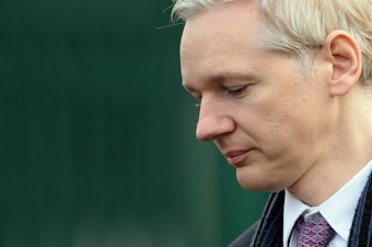 caption: WikiLeaks founder Julian Assange could soon be facing criminal charges from the Department of Justice, according to language discovered in an unrelated court document by terrorism researcher Seamus Hughes.