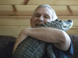 caption: Joie Henney says his emotional support alligator, Wally, is missing in Georgia after being kidnapped, found and released into a swamp with some 20 other gators.