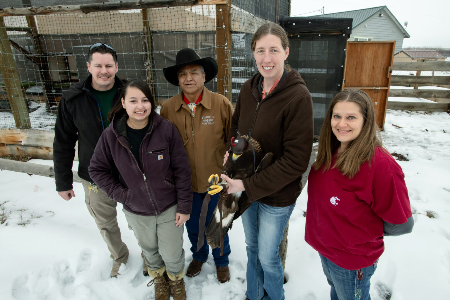 caption: At left, Yakama Nation aviary biologists Michael Beckler, and Alyssa Woodward, pose for a photo with Yakama Nation Tribal Council member Terry Heemsah, center, as Washington State University wildlife veterinarian Dr. Marcie Logsdon holds a juvenile golden eagle rehabilitated at WSU’s College of Veterinary Medicine next to WSU veterinary technician Alexis Adams, right, on Thursday, Jan. 25, 2024, before the eagle was released into the tribe's aviary. 