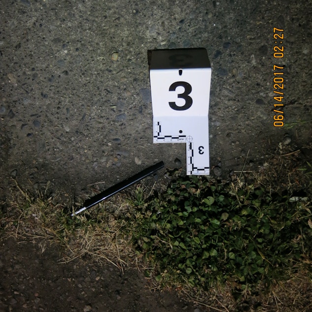 caption: Pen found at the scene of the Tommy Le shooting.
