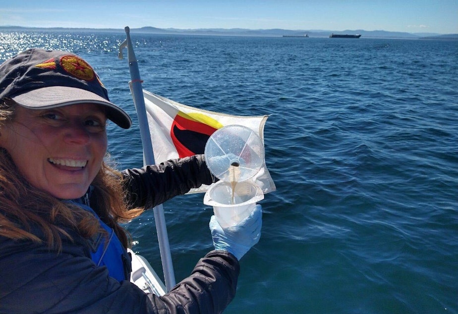 caption: University of Washington researcher Deborah Giles on Haro Strait with a freshly collected sample of orca feces, Sept. 1, 2020.
