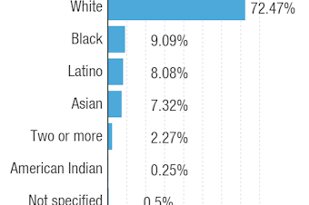 caption: The NPR newsroom breakdown by race and ethnicity as of Oct. 31, 2018.