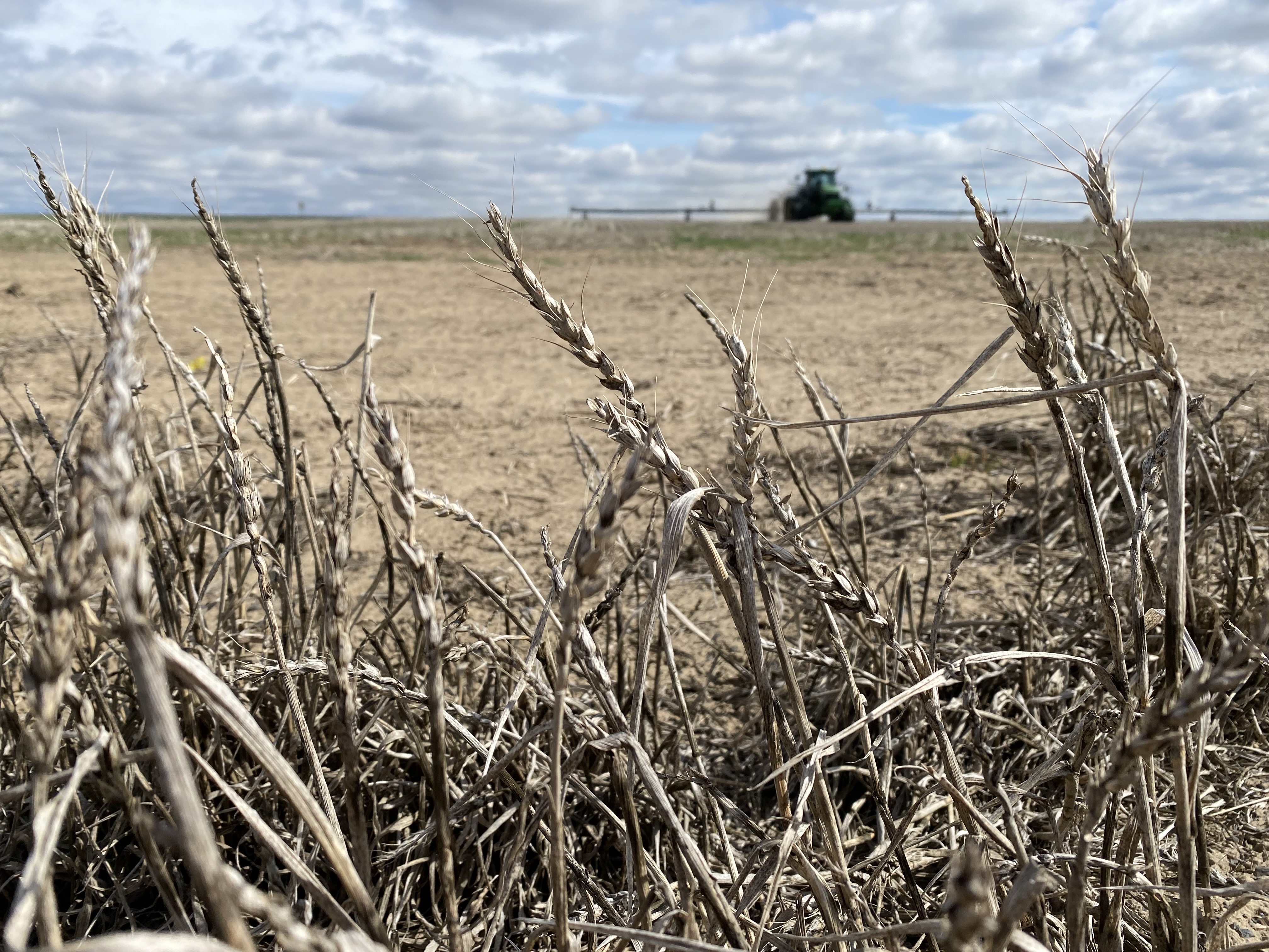 caption: A tractor and sprayer work a stubble field spraying Roundup. Killing volunteer wheat and cheatgrass will help save moisture in the soil for next year’s crop. 