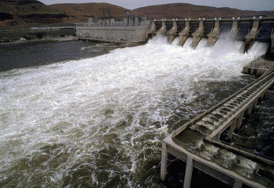 caption: Lower Monumental Dam on the Snake River in Washington is one of four dams considered for removal or breaching in a long-running debate.