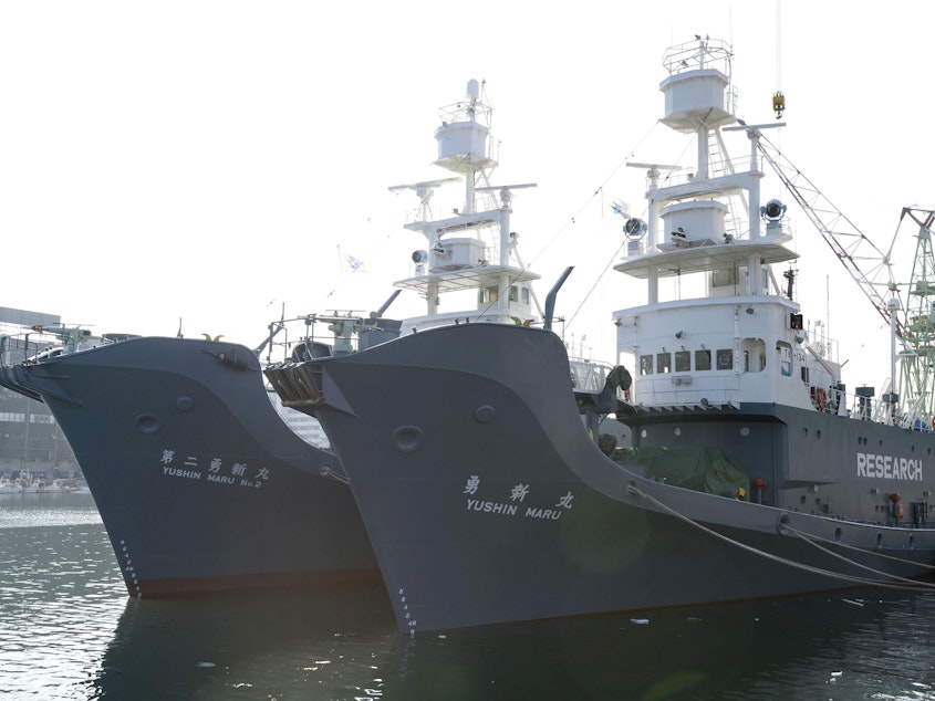 caption: Japan once labeled its whaling vessels with prominent "Research" tags — but the country will resume commercial whaling hunts in 2019. Here, the whaling ships Yushin Maru (R) and Yushin Maru No. 2 are seen before leaving for the Antarctic Ocean for a whale hunt in 2015. In the future, Japanese whaling ships will not operate in the Antarctic.