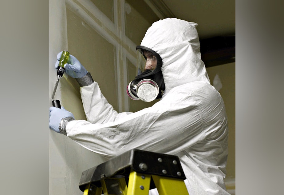caption: A known carcinogen, asbestos needs to be removed with the use of safety equipment including respirators. L