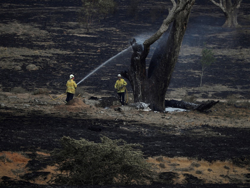 caption: Firefighters spray water on a smoldering tree in the wake of a bush fire near Bumbalong in New South Wales, Australia. February has brought much-needed rain to the state, where fires have burned about 13.3 million acres of land.
