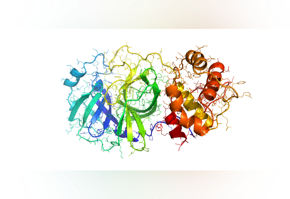 caption: Phyre2 model ribbion diagramm rendering of the 2019-nCoV coronavirus protease as target for antiviral drugs.