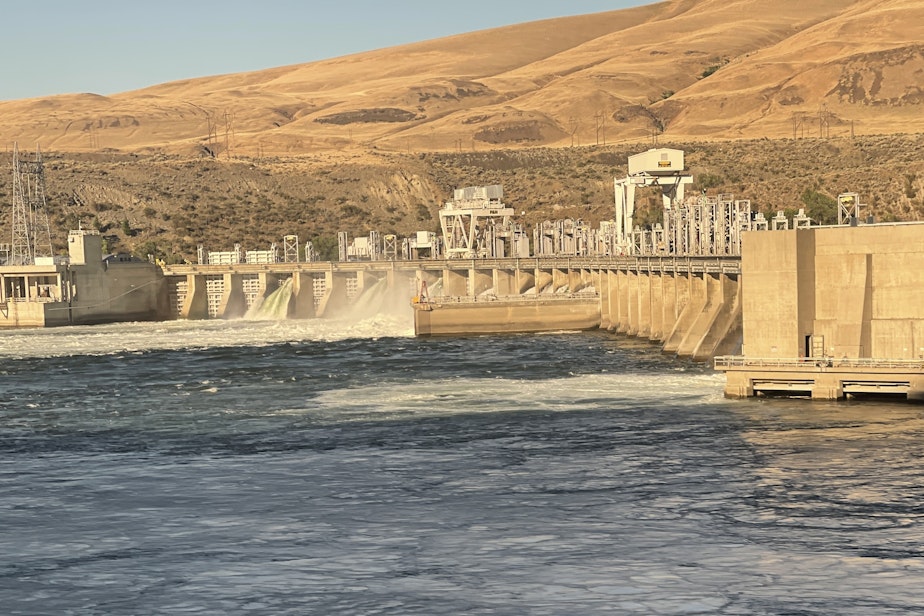 caption: The Rock Island Dam, on the Columbia River near Wenatchee, is one of 10 Washington dams that Okanagan Chinook salmon must swim past to reach their Canadian spawning grounds. July 2022 photo.