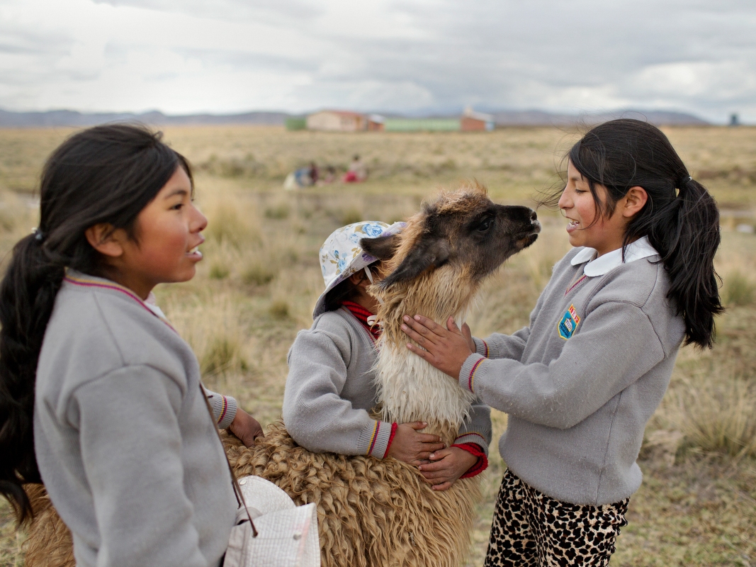 caption: Huanucollo elementary students play with llamas along a nearby river during a visit from Engineers Without Borders USA members. From left to right: Judith Paola, 10, Nely Chambilla Huayta, 8, and Lisseth Carola Paredes Laura, 9. 

Out of 151 water samples recently taken by the World Health Organization throughout Peru, more than 75 percent exceed the recommended limit. In Huanucollo the arsenic level is nearly 50 times above the WHO-recommended level. Scientists estimate about 14 million people in Latin Ame