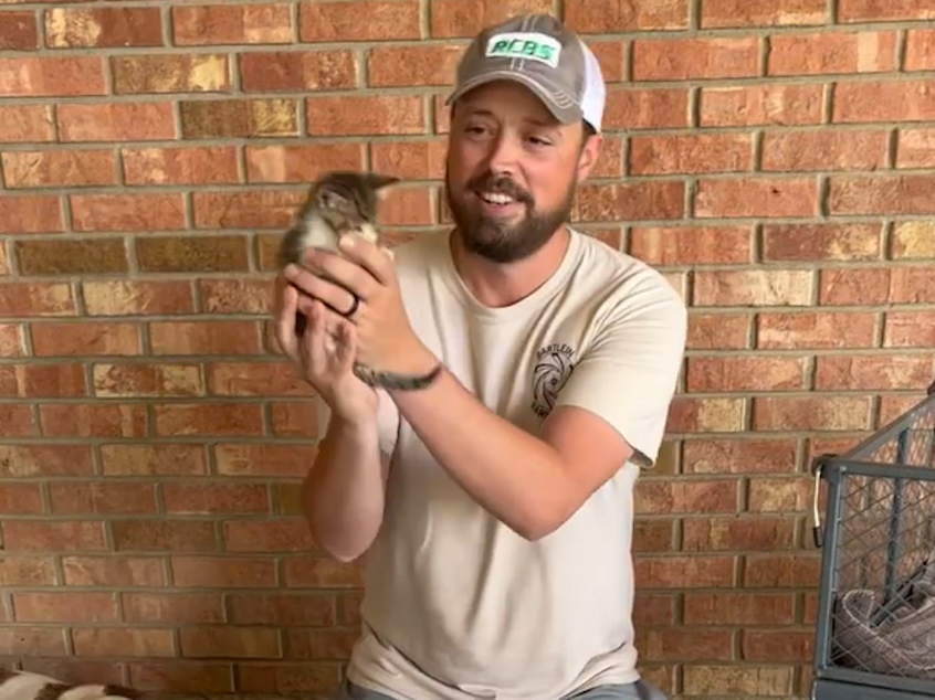 caption: Robert Brantley washes one of the 13 kittens he rescued along the side of the road in Pioneer, La., on Tuesday.