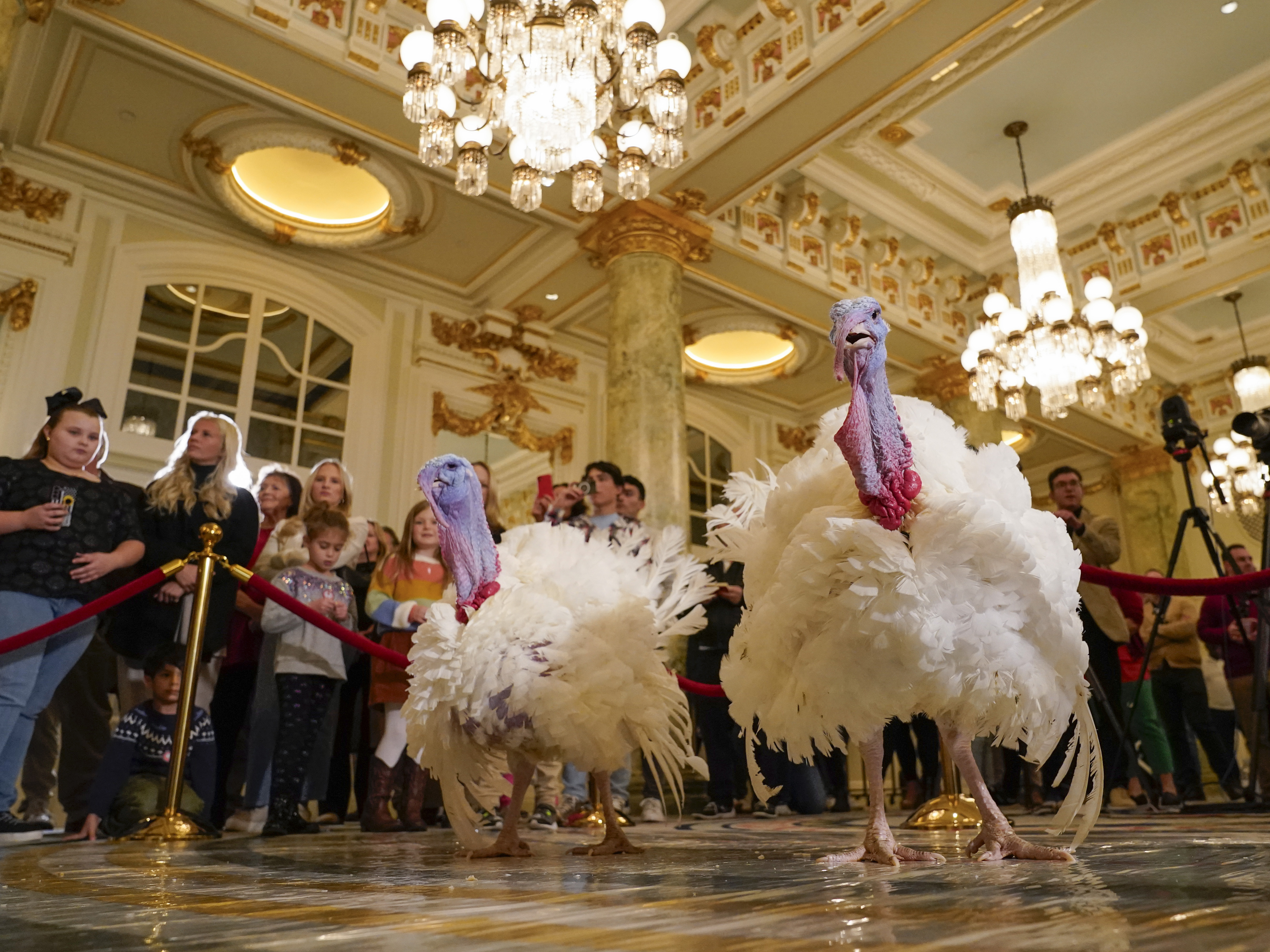 caption: Two turkeys, named Liberty and Bell, who will attend the annual presidential pardon at the White House ahead of Thanksgiving, attend a news conference on Sunday at the Willard InterContinental Hotel in Washington.