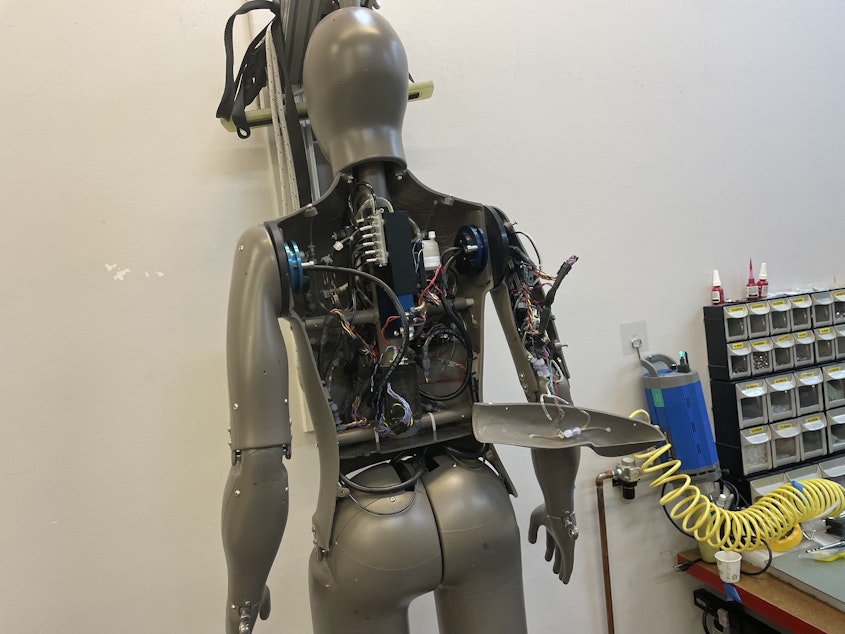 caption: A "Newton" model manikin is pictured at Thermetrics' Interbay assembly office. Newton is the "tried and true" manikin for the company, and can heat and sweat. 