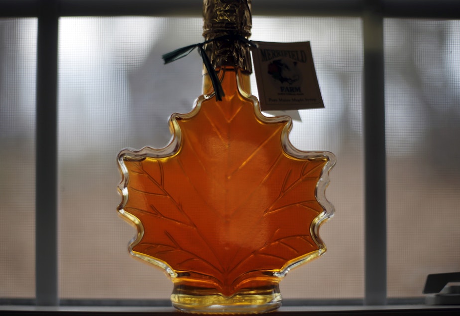 caption: Producers plan to tap 7 million more maple trees to meet syrup demand.