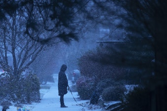 caption: Snow begins to fall on Tuesday morning, December 20, 2022, in the Ballard neighborhood of Seattle. 