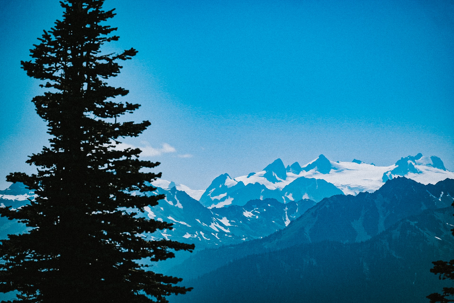 caption: View of the Olympics from Forks, WA.