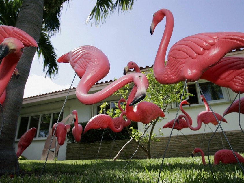 caption: A new study finds that front yards with friendly features, such as pink flamingos or porch furniture, are correlated with happier, more connected neighbors and a greater "sense of place."