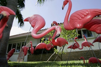 caption: A new study finds that front yards with friendly features, such as pink flamingos or porch furniture, are correlated with happier, more connected neighbors and a greater "sense of place."