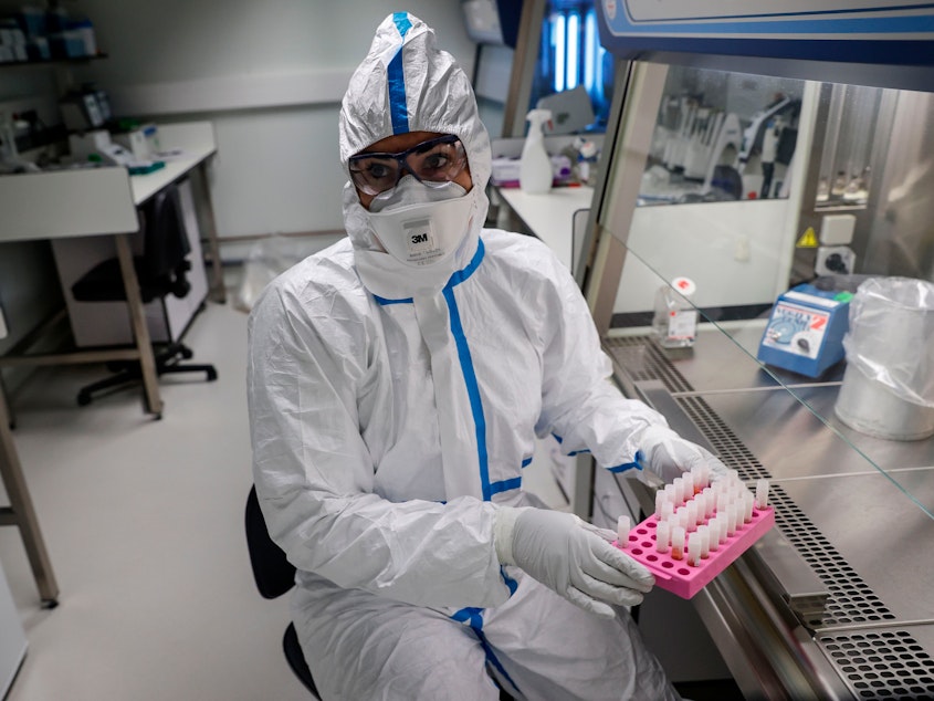 caption: The Institut Pasteur lab in Paris analyzes patient tests for respiratory viruses, including coronaviruses.