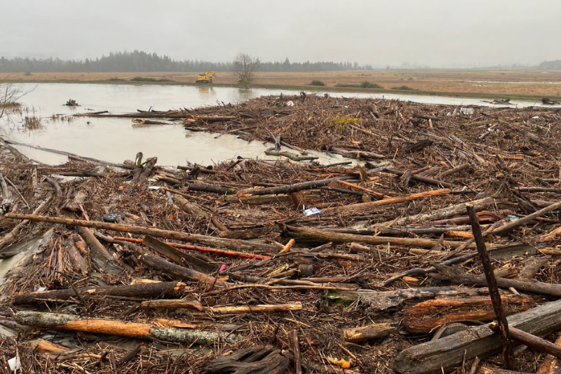 caption: This photo was taken from the US-2 bridge over the Snohomish River in Everett, where considerable logs and debris piled up after recent flooding. Crews with the Washington State Department of Transportation spent a weekend clearing the chokepoint of debris, finishing the work on Sunday, Dec. 14, 2025, ahead of yet another round of heavy rain that is expected to cause more flooding. 