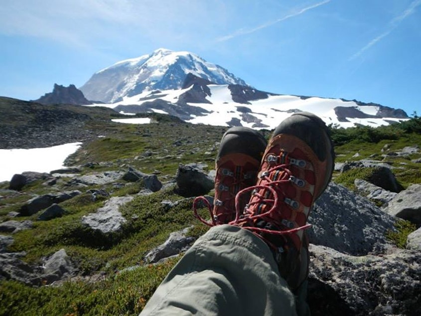caption: To hike to Spray Park in Mount Rainier National Park, you would need a America the Beautiful Pass, or pay for a day pass, but not use your Discover Pass or Northwest Forest Pass. Got it?