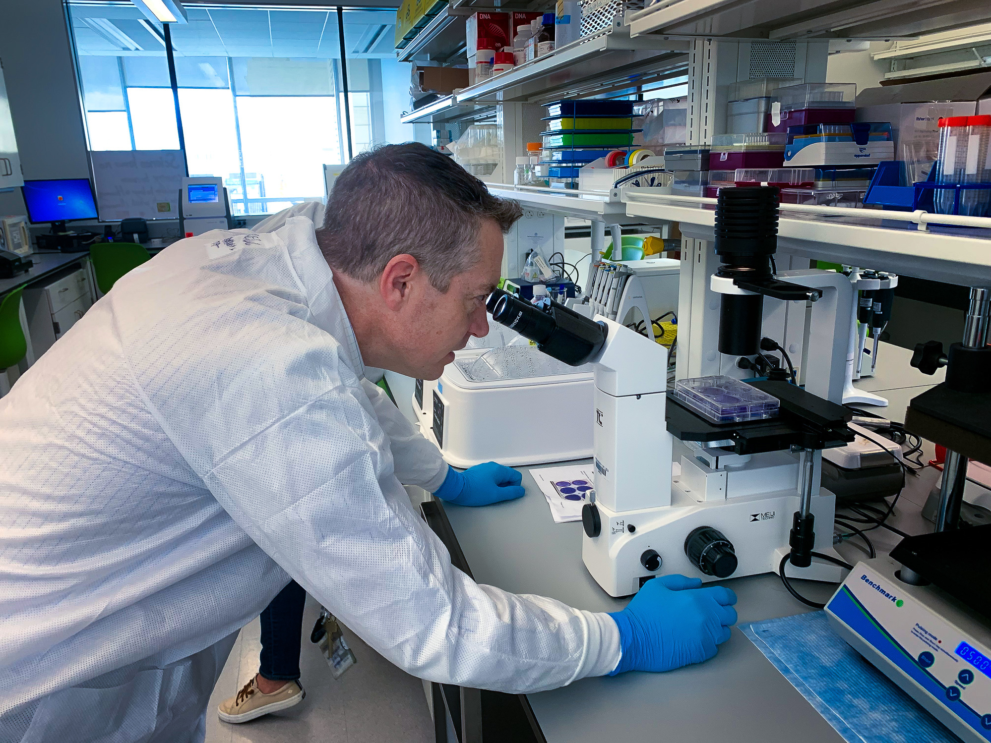 caption: Virologist Christopher Mores looks at cells that have been infected with the coronavirus as part of an effort to develop an antibody test.