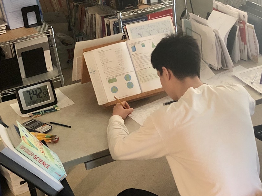 caption: Every day, Lisa sits down with Anthony to teach him math. Homeschooling allows Lisa to spend extra time on especially confusing topics. Here’s Anthony with his algebra homework.