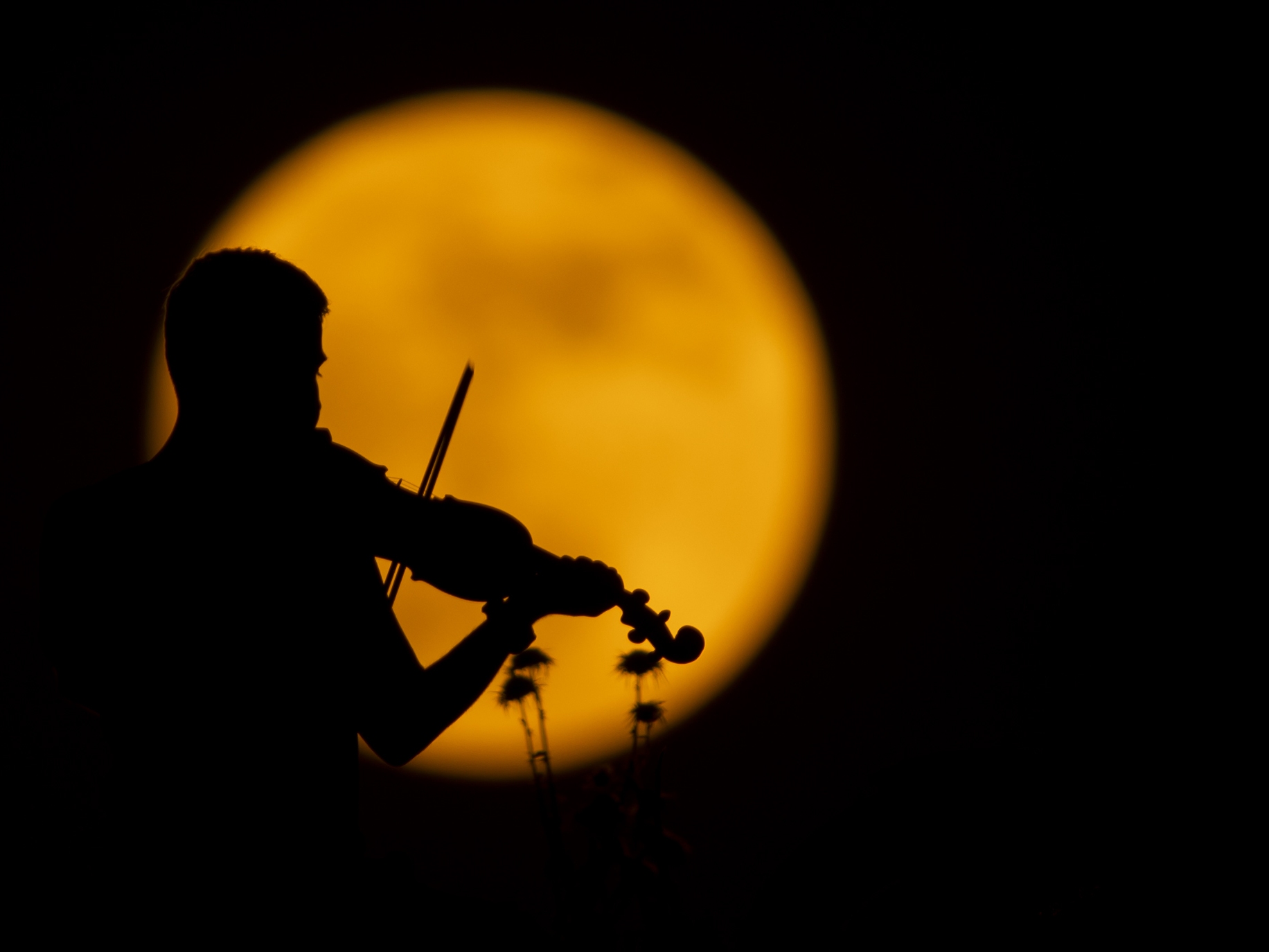 caption: A person plays the violin as the full moon appears over Halabja, Iraq on June 10, 2025.