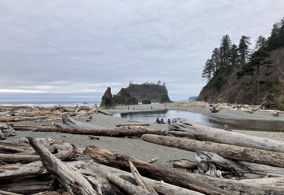 Caption: Easy access to Ruby Beach is blocked by thick piles of washed-up trees and driftwood.