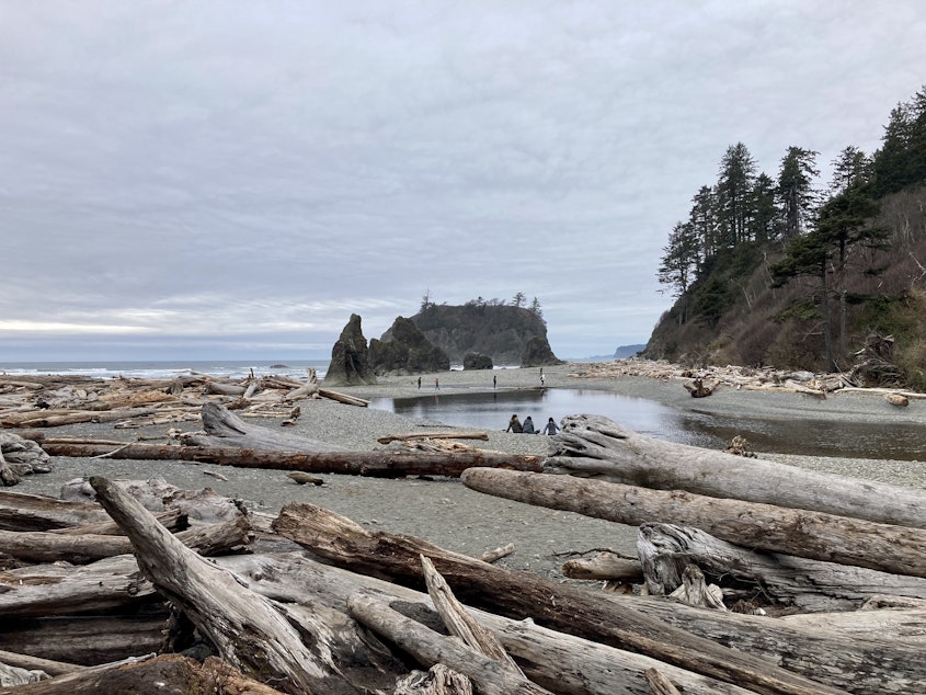 caption: Easy access to Ruby Beach is blocked by dense piles of washed up trees and driftwood.